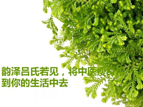 韵泽吕氏若见,将中医瘦身带到你的生活中去