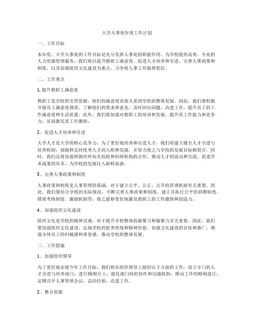 大学人事处年度工作计划