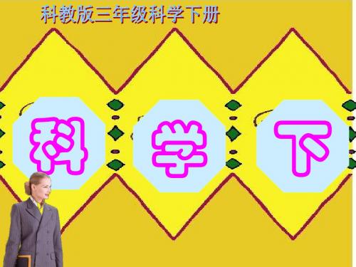科教版三年级下科学全套课件