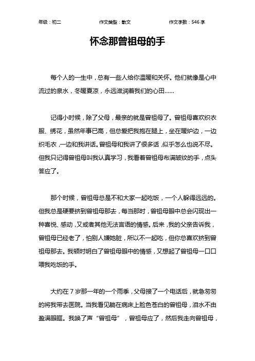 怀念那曾祖母的手作文【初中初二500字】