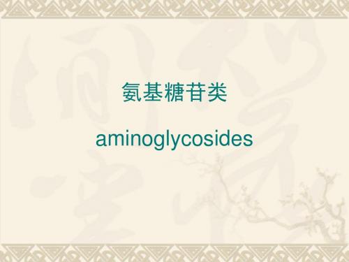 氨基糖苷类&大环内酯