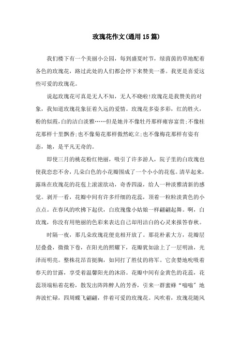 玫瑰花作文(通用15篇)精选