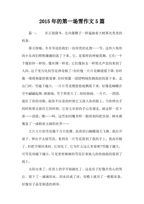2015年的第一场雪作文5篇