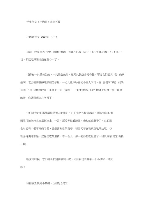 学生作文《小鹦鹉》范文五篇