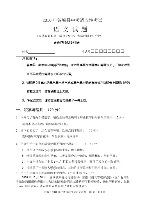 2010年谷城县适应性语文试题及答案