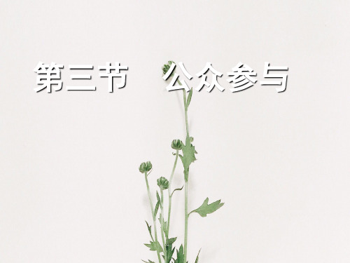 公众参与PPT教学课件