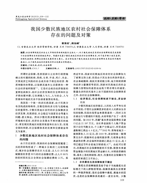 我国少数民族地区农村社会保障体系存在的问题及对策