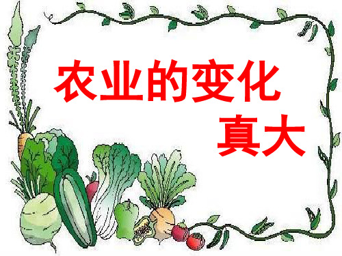 人教版语文二上34《农业的变化真大》 (1)PPT课件