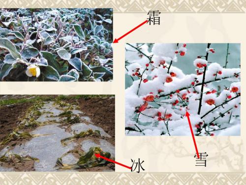 水的三态变化