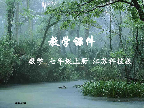 七年级数学上册 第2章 有理数 2.3 数轴教学课件苏科苏科级上册数学课件
