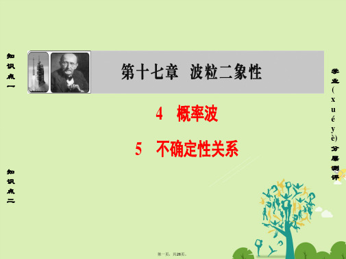 高中物理第17章波粒二象性4概率波5不确定性关系课件新人教选修35