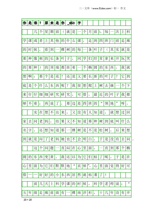 初一作文：你是谁？原来是你_650字
