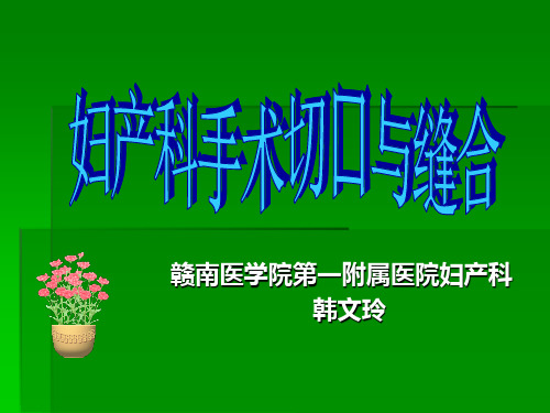 妇产科手术切口与缝合PPT课件