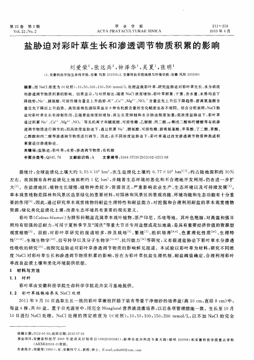 盐胁迫对彩叶草生长和渗透调节物质积累的影响