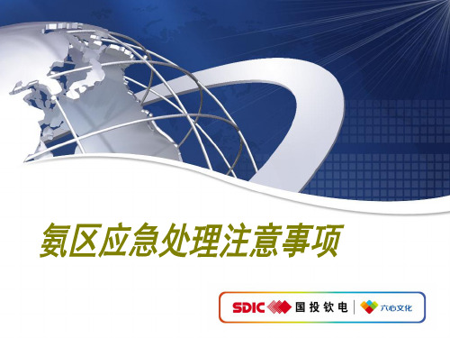 氨区应急处理注意事项
