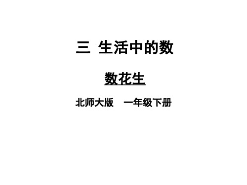 一年级下册数学课件-数花生北师大版