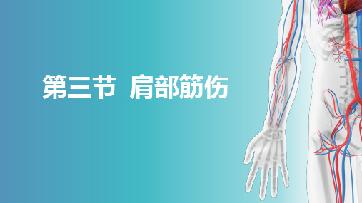 03第三节肩部筋伤