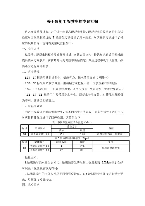 关于预制T梁养生的专题汇报