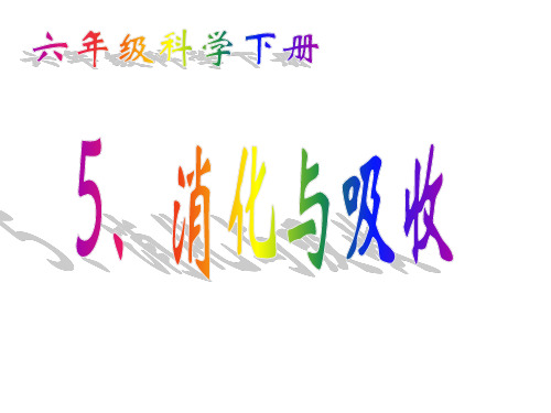 六年级科学下册课件 - 5消化与吸收 - 冀人版(共20张PPT)
