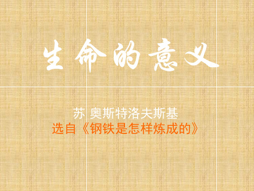 生命的意义PPT课件