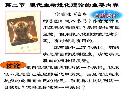 人教版教学课件必修2现代生物进化理论的主要内容课件 下学期