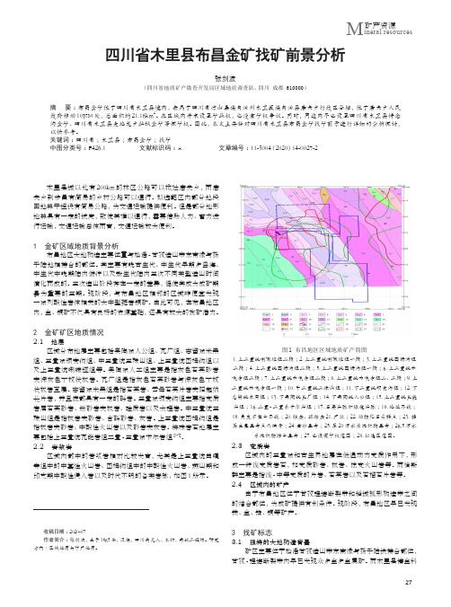 四川省木里县布昌金矿找矿前景分析