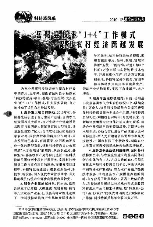 岳阳县探索“1+4”工作模式 促进农村经济跨越发展