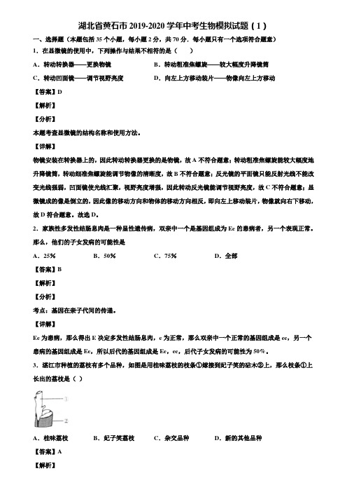 湖北省黄石市2019-2020学年中考生物模拟试题(1)含解析