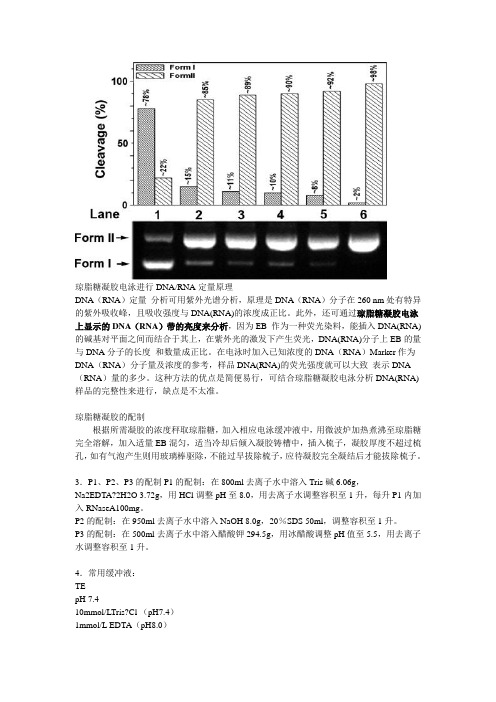 DNA琼脂糖凝胶电泳原理