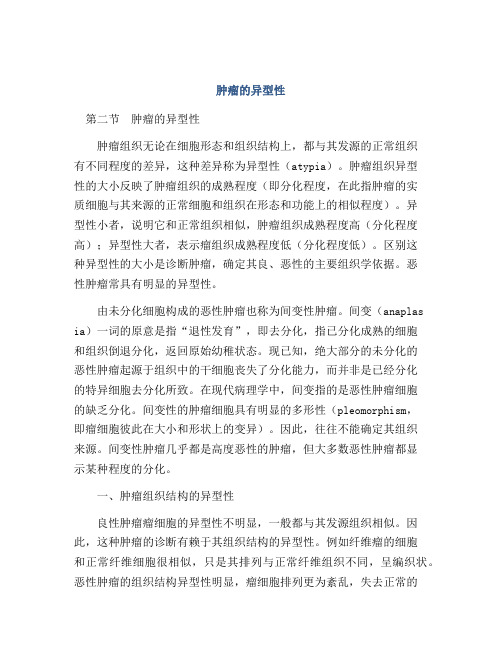 肿瘤的异型性