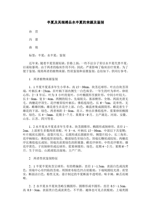 半夏及其混淆品水半夏的来源及鉴别