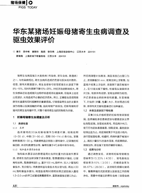 华东某猪场妊娠母猪寄生虫病调查及驱虫效果评价