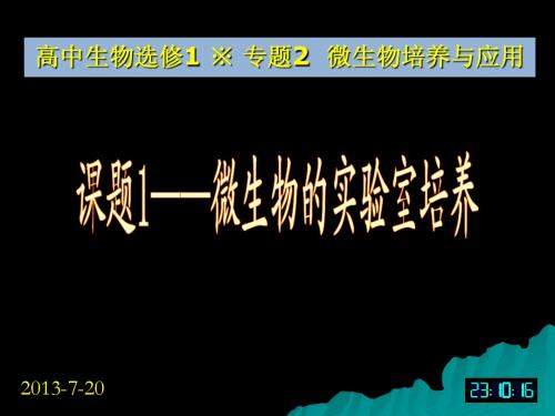 4-2.1生物选修1课堂教学课件-微生物的实验室培养