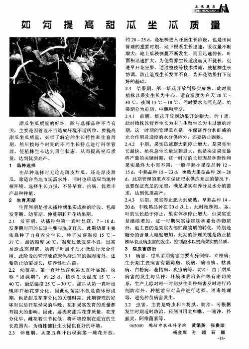 如何提高甜瓜坐瓜质量