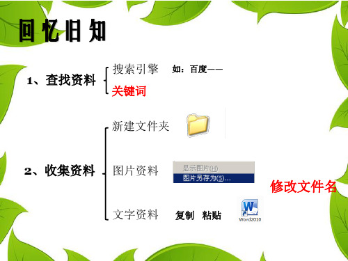 五年级下册信息技术课件-4.11准备演示文稿资料｜浙江摄影版( 新) (共7张PPT)
