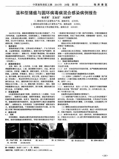 温和型猪瘟与圆环病毒病混合感染病例报告
