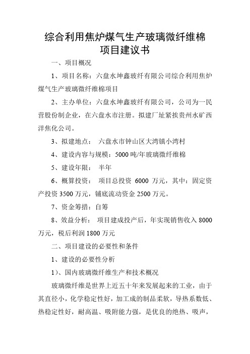综合利用焦炉煤气生产玻璃微纤维棉项目建议书
