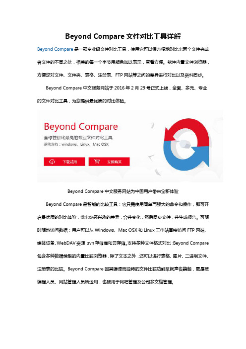 Beyond Compare文件对比工具详解