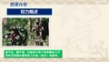 组织行为学(权力概述)