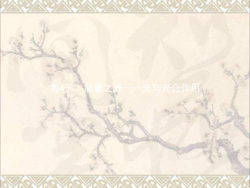 2018版高中生物第五章细胞的能量供应和利用5.4能量之源__光与光合作用课件新人教版必修1