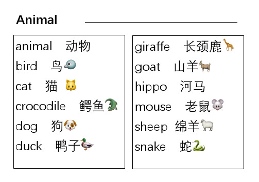 单词卡片1
