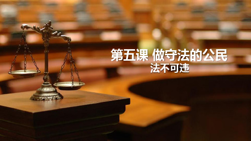 5.1做守法的公民 法不可违