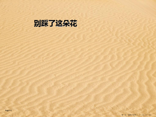 2022春冀教版语文四下《别踩了这朵花》ppt课件