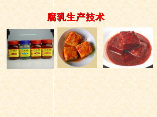 腐乳生产技术课件.pptx