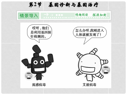 高中生物 12基因诊断与基因治疗配套课件 新人教版选修