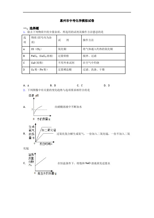 惠州市中考化学模拟试卷