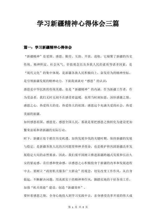 学习新疆精神心得体会三篇