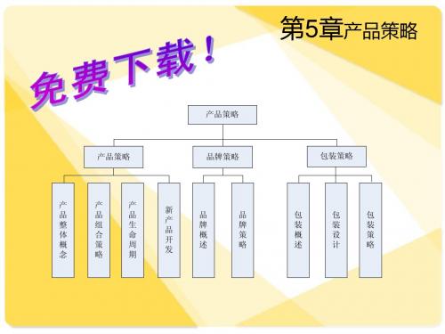 市场营销学 第5章