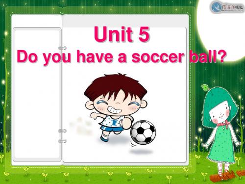 2013新版七年级上册Unit 5 Do you have a soccer ball Section B