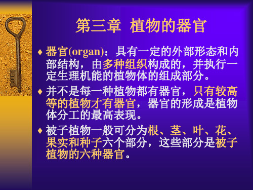 植物的器官